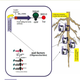 Image for article titled Re-engineering Rhizobium